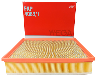 Filtro de Ar Wega FAP4065/1