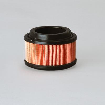 Filtro de Ar Donaldson P500196