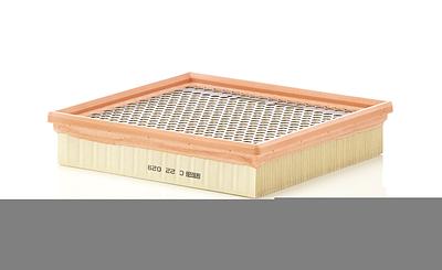 Filtro de Ar Mann C22029