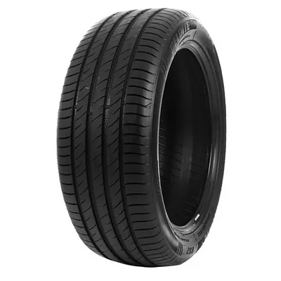 Pneu Aro 14 Delinte 195/70R14 91T DS2