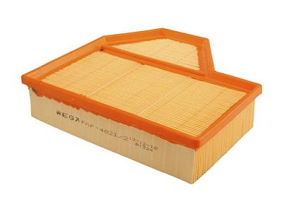 Filtro de Ar Wega FAP4821/2