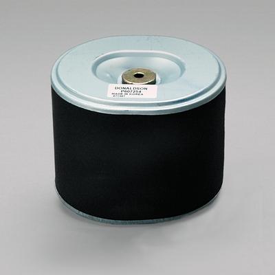 Filtro Ar Donaldson P607254