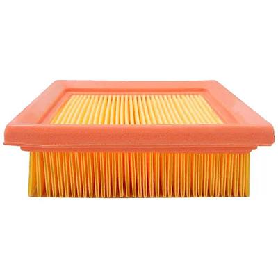 Filtro de Ar Fram CA9835