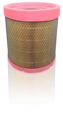 Filtro de Ar Mann C31021/1