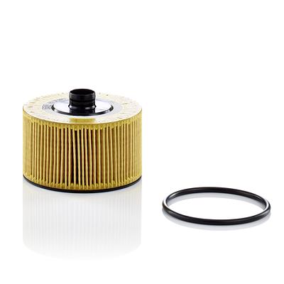 Filtro de Óleo Mann HU10002Z