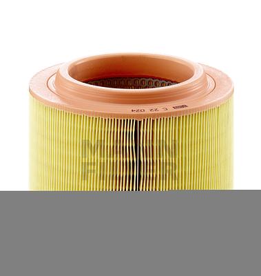 Filtro de Ar Mann C22024