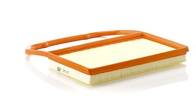 Filtro de Ar Mann C29015