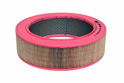 Filtro de Ar Mann C30010