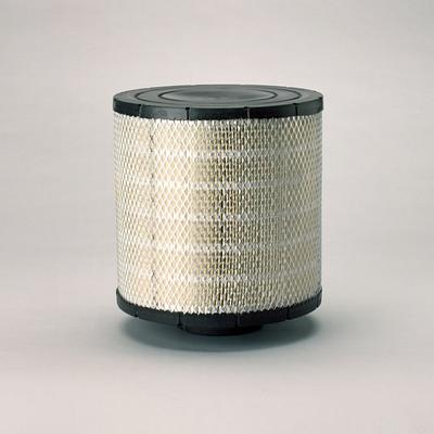 Filtro de Ar Donaldson B105020