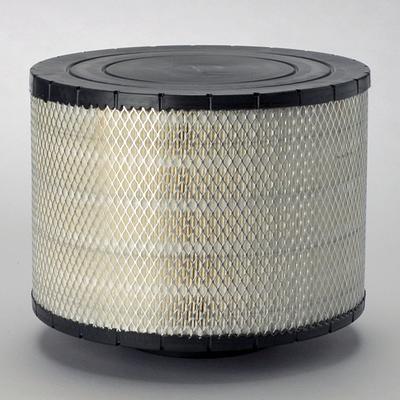 Filtro de Ar Donaldson B125005